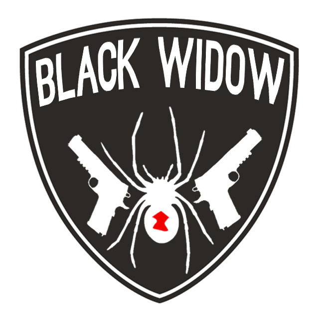 Brooklyn Nets Black Widow logo iron on heat transfer